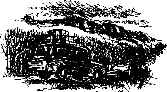 Каос и Бьёрнар. Олауг и Пончик (с илл.) i_018.png