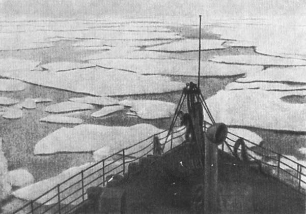 Макаров _31.jpg
