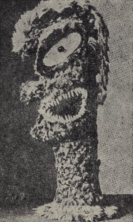 Загадки Великого океана image12.jpg