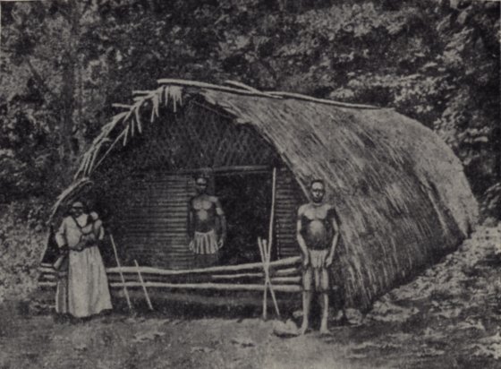 Загадки Великого океана image14.jpg