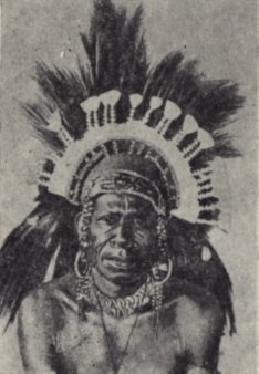 Загадки Великого океана image15.jpg