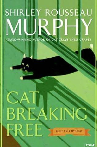 Cat Breaking Free pic_1.jpg