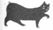 Cat Breaking Free pic_12.jpg