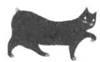 Cat Breaking Free pic_16.jpg