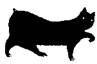 Cat Breaking Free pic_3.jpg