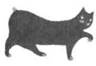 Cat Breaking Free pic_19.jpg