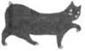 Cat Breaking Free pic_20.jpg