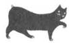 Cat Breaking Free pic_23.jpg