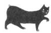 Cat Breaking Free pic_26.jpg