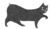 Cat Breaking Free pic_29.jpg