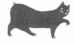 Cat Breaking Free pic_32.jpg