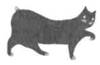 Cat Breaking Free pic_40.jpg