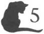 Cat to the Dogs pic_6.jpg