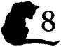 Cat to the Dogs pic_9.jpg