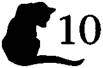 Cat to the Dogs pic_11.jpg