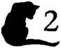 Cat to the Dogs pic_3.jpg