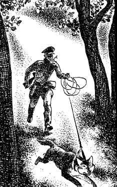 Сріблясте марево doc2fb_image_03000009.png