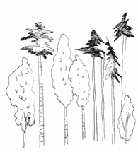ОЧЕНЬ Петербургские сказки pic_21.png