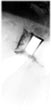 Song of Susannah image3.jpg