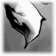 Song of Susannah image19.jpg