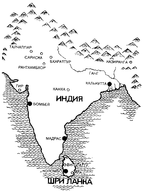 Мир Книги джунглей i_003.png