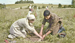 Литературная Газета  6266 ( № 11 2010) TAGhttp___www_lgz_ru_userfiles_image_11_6266_2010_10-2_jpg30172