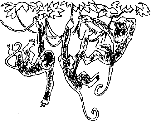 Тисту - мальчик с зелеными пальцами i_011.png