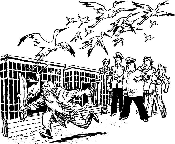 Солнышкин плывёт в Антарктиду image62.jpeg