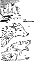 Быстрые кони i_005.png