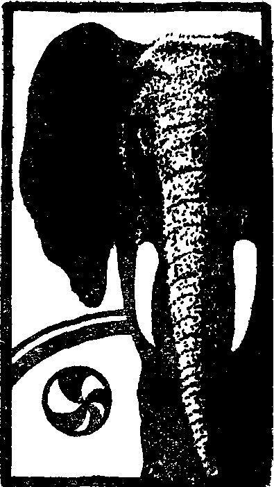 Мертва голова doc2fb_image_03000007.png