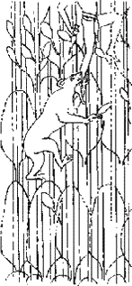 Загадки Финикии any2fbimgloader11.png