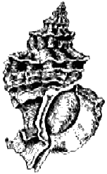 Загадки Финикии any2fbimgloader55.png