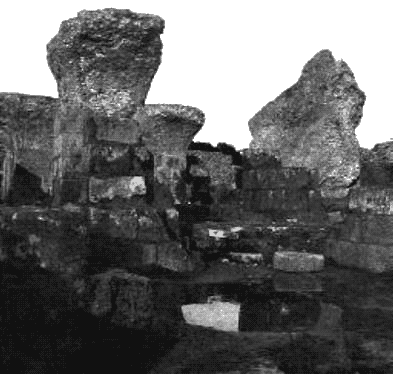 Загадки Финикии any2fbimgloader66.png