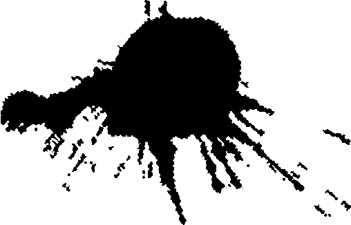 Дзен - таинство и поэзия запредельного doc2fb_image_03000003.png