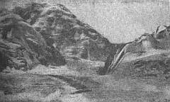 В горах Памира _43.jpg