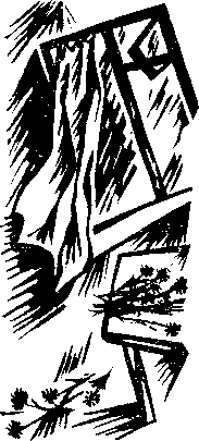 Жаркие перегоны img_7.png