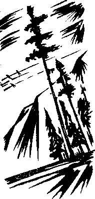 Жаркие перегоны img_2.png