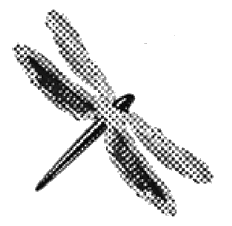 Чарівна ти Untitled1.png_0