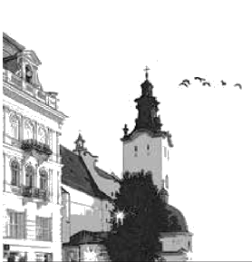 Лемберг. Під знаменами сонця i_004.png