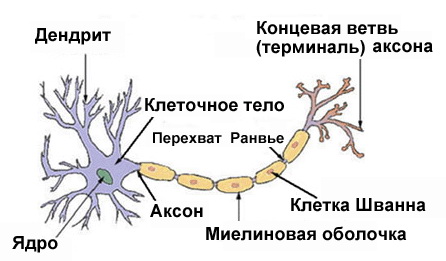Тайная Доктрина дней Апокалипсиса (Книга 1) i_022.jpg