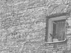 Життя Марії i_017.jpg