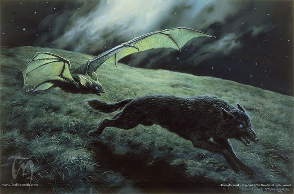 The Silmarillion img_21.jpg