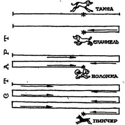 В поисках похищенной марки _015.jpg