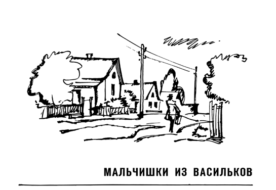 Мальчишки из Васильков. Остров Старой Цапли i_002.png