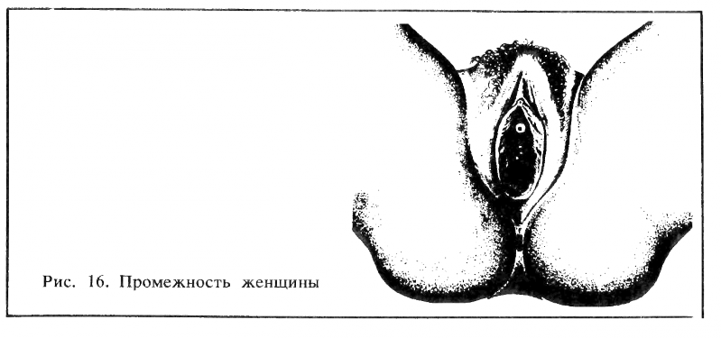 Искусство любви _17.png