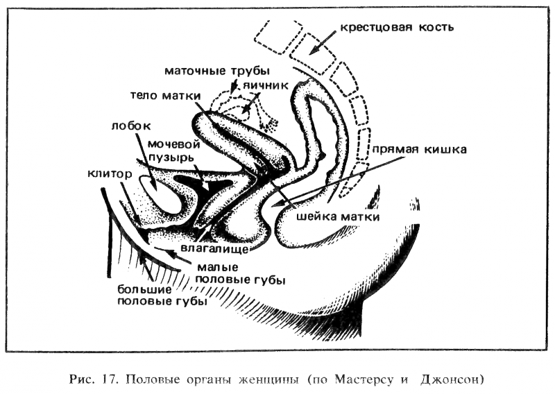 Искусство любви _18.png