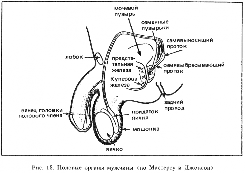 Искусство любви _19.png