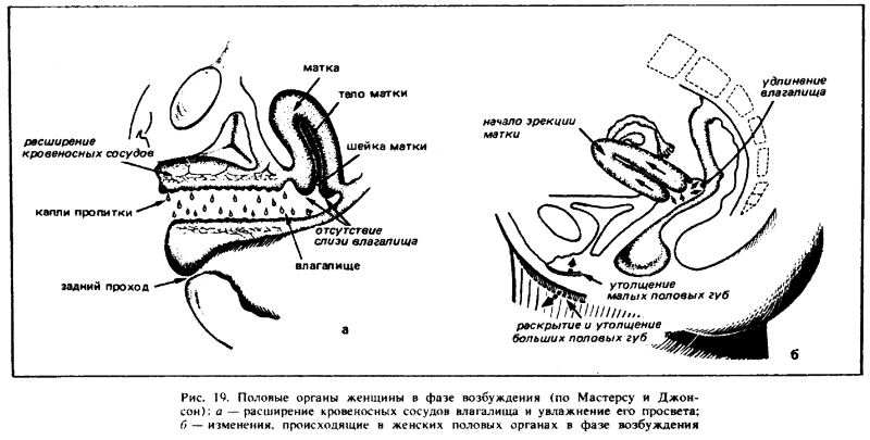 Искусство любви _20.png