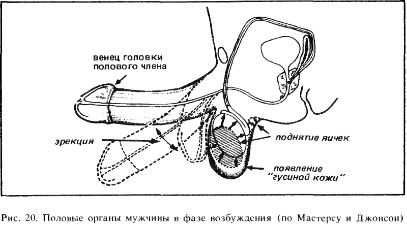 Искусство любви _21.png