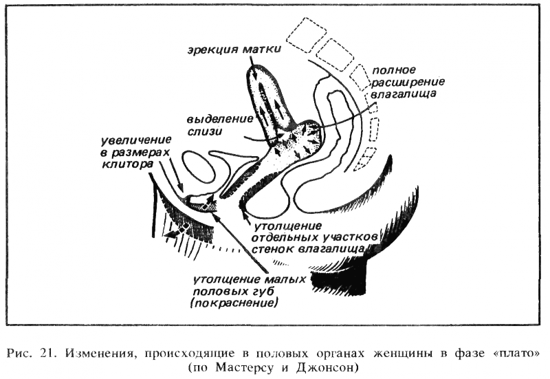 Искусство любви _22.png